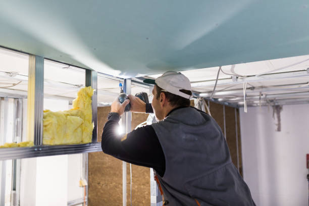 Best Insulation Replacement Services  in Mount Oliver, PA