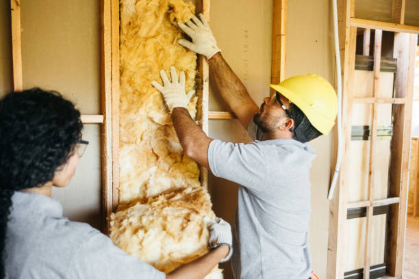 Best Wall Insulation Contractor  in Mount Oliver, PA